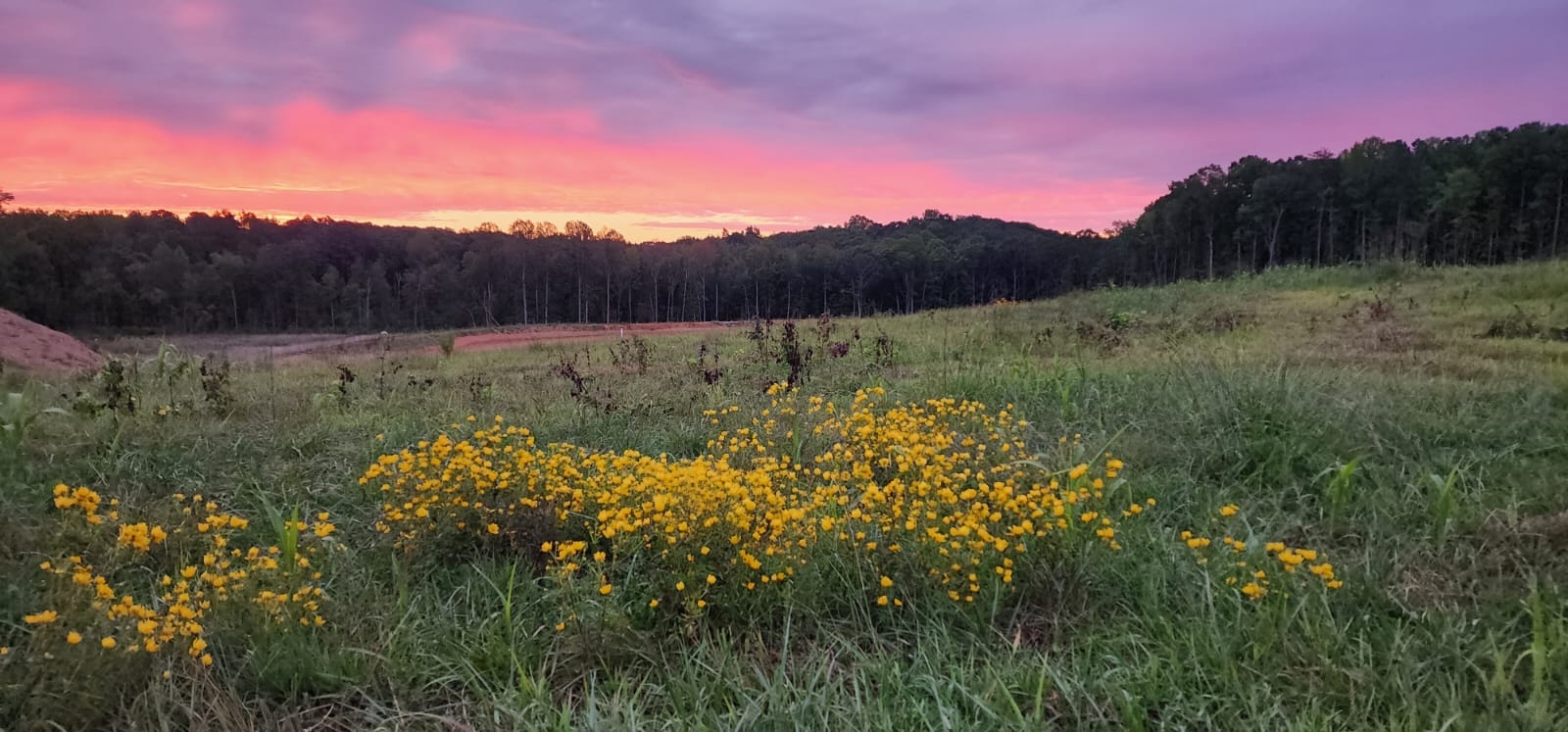 purple sunset at Union Grove Farms