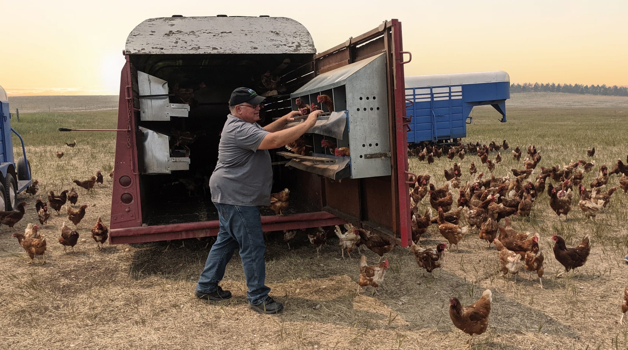 Gabe Brown Regenerative Farming