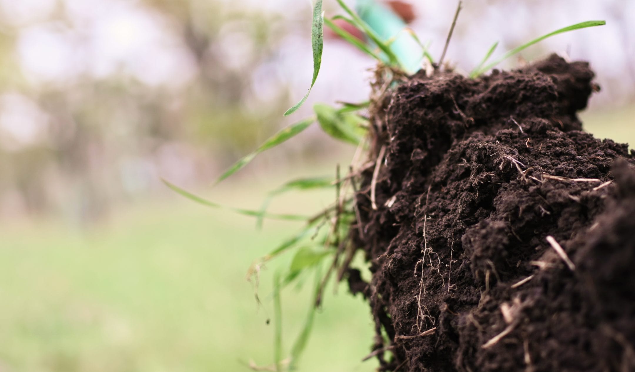 A chunk of dark soil with grass roots against a blurred green background.