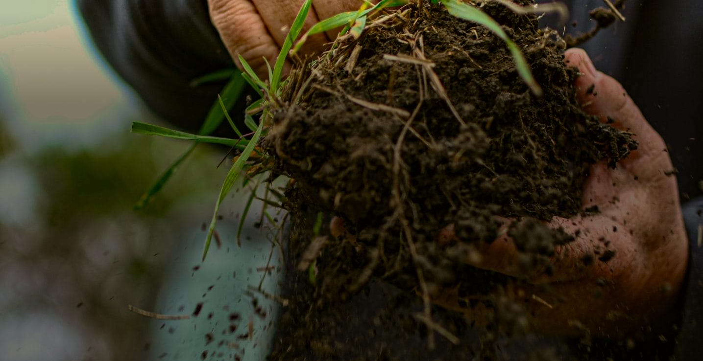 Farmer holding rich soil