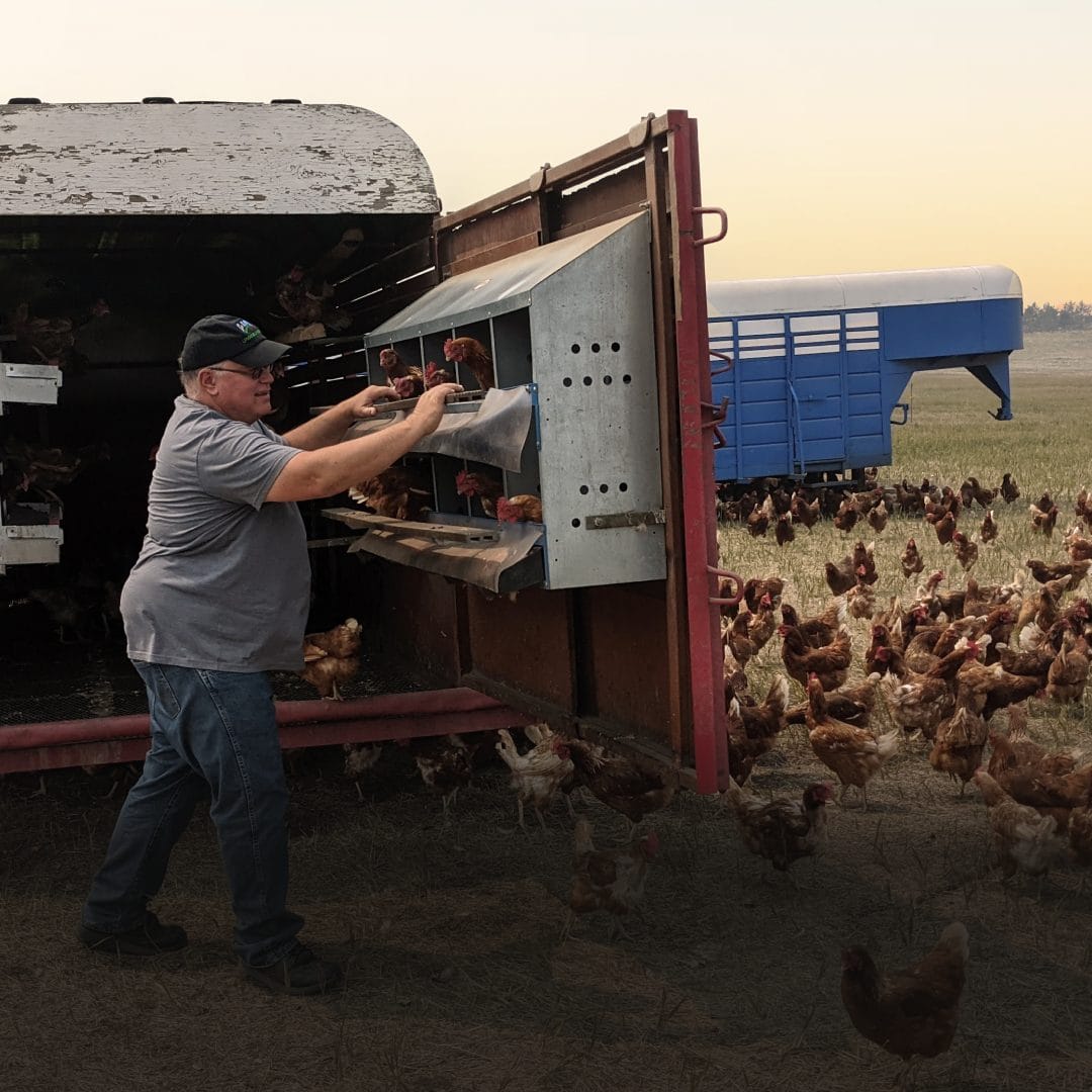 Gabe Brown Regenerative Farming