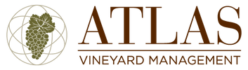 Atlas Vineyard Management